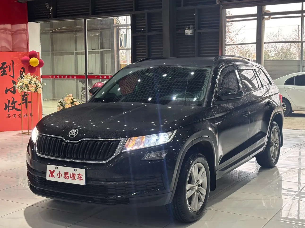 Skoda Kodiaq  из Китая