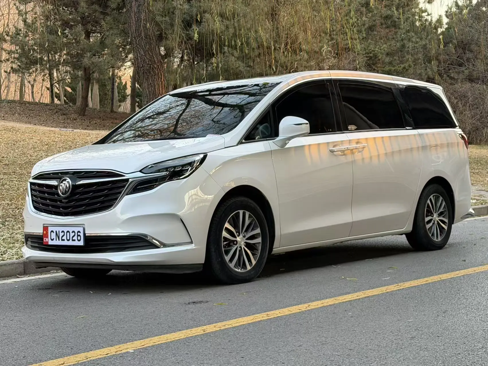 Buick GL8  из Китая