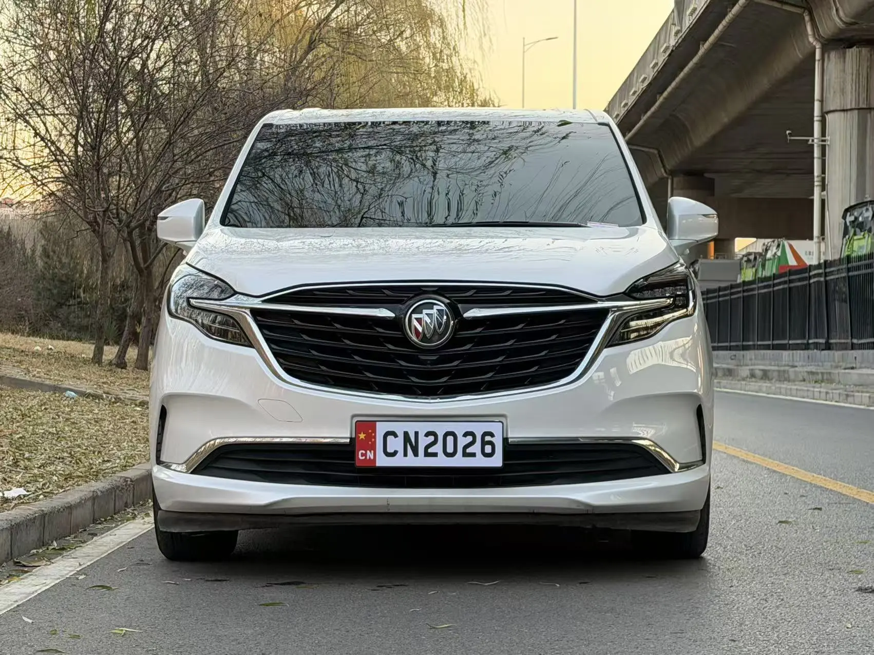 Buick GL8  из Китая