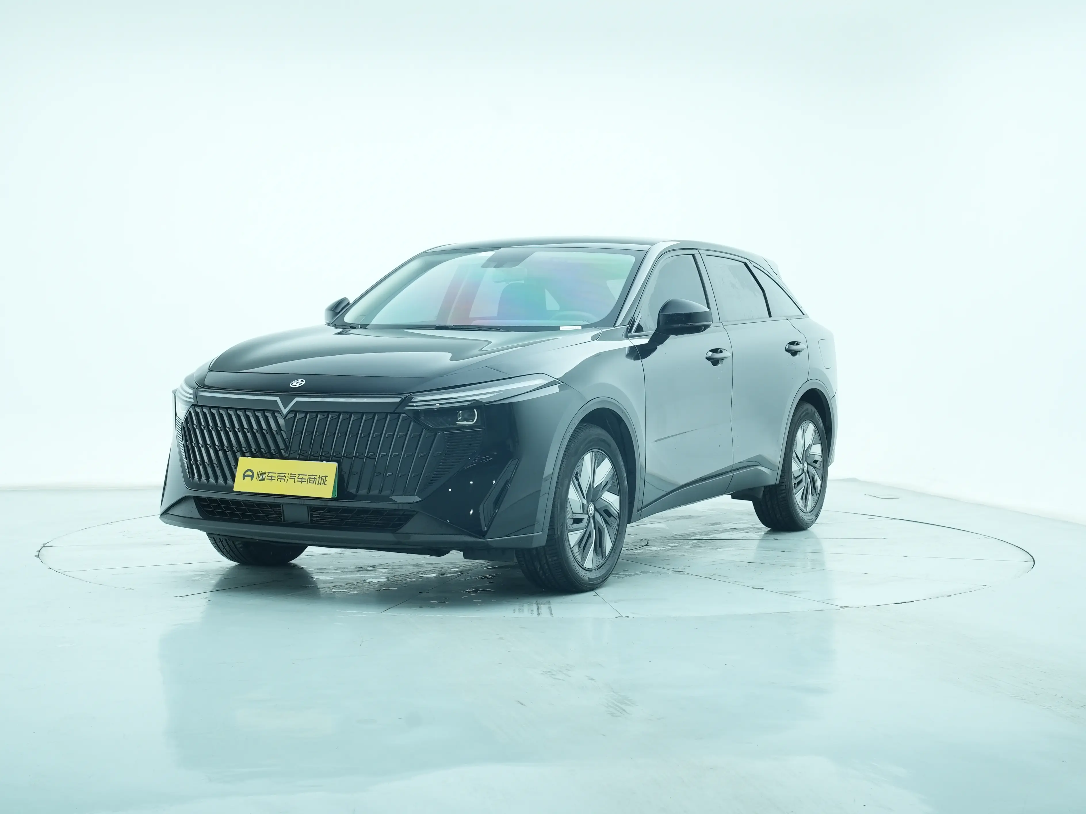 Kai Chen Qichen Big V DD-i  из Китая