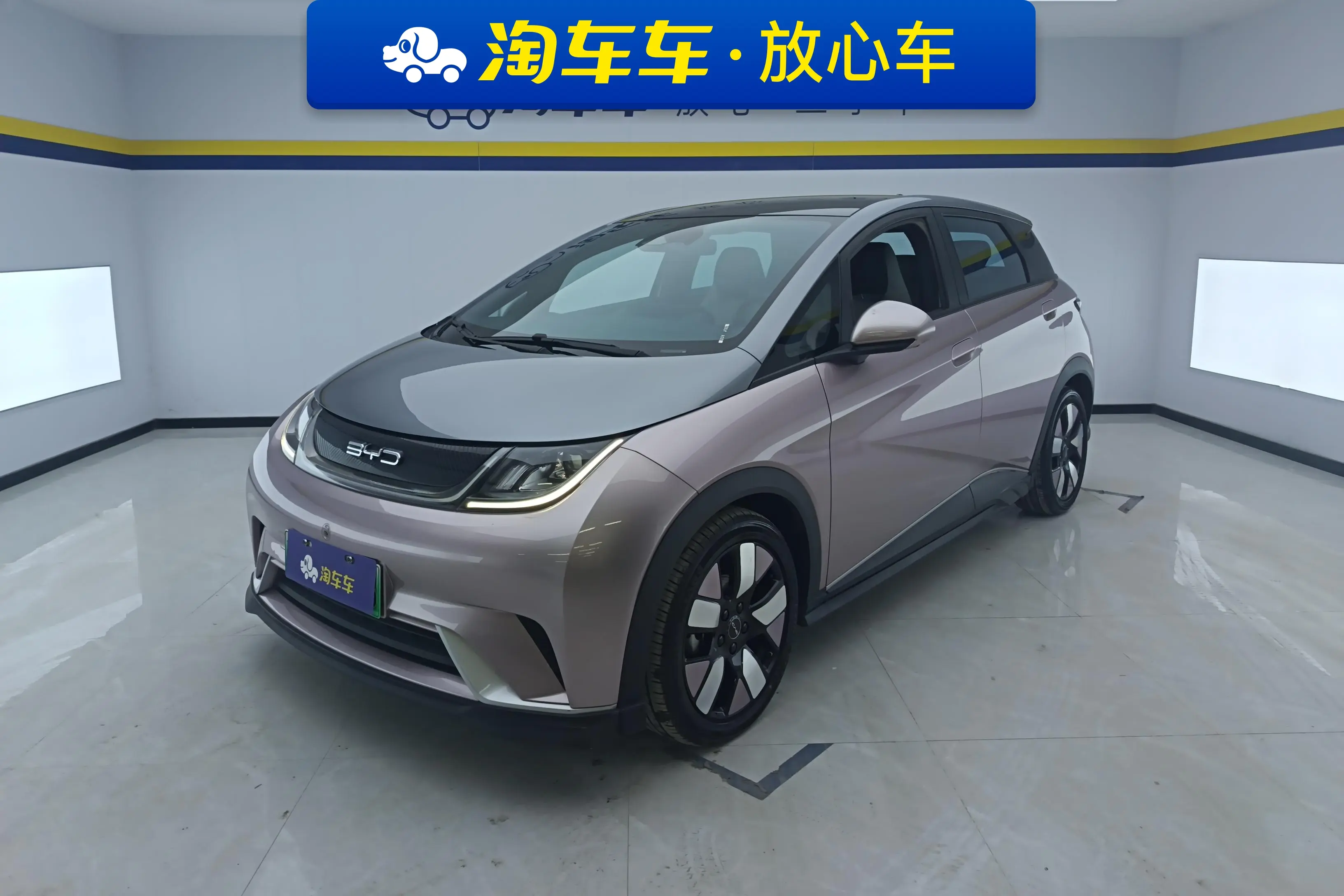 BYD Dolphin  из Китая
