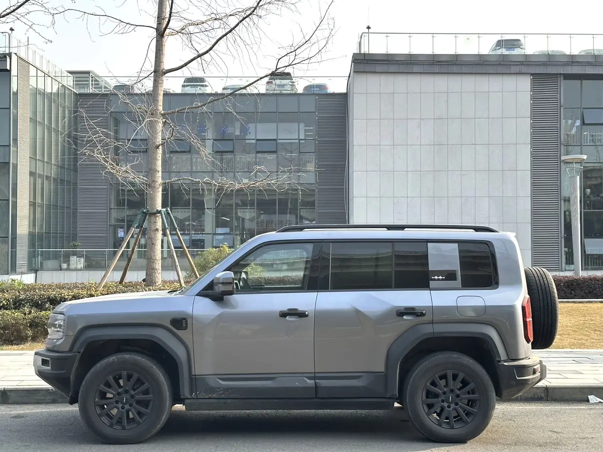 BYD Leopard Leopard 5  из Китая