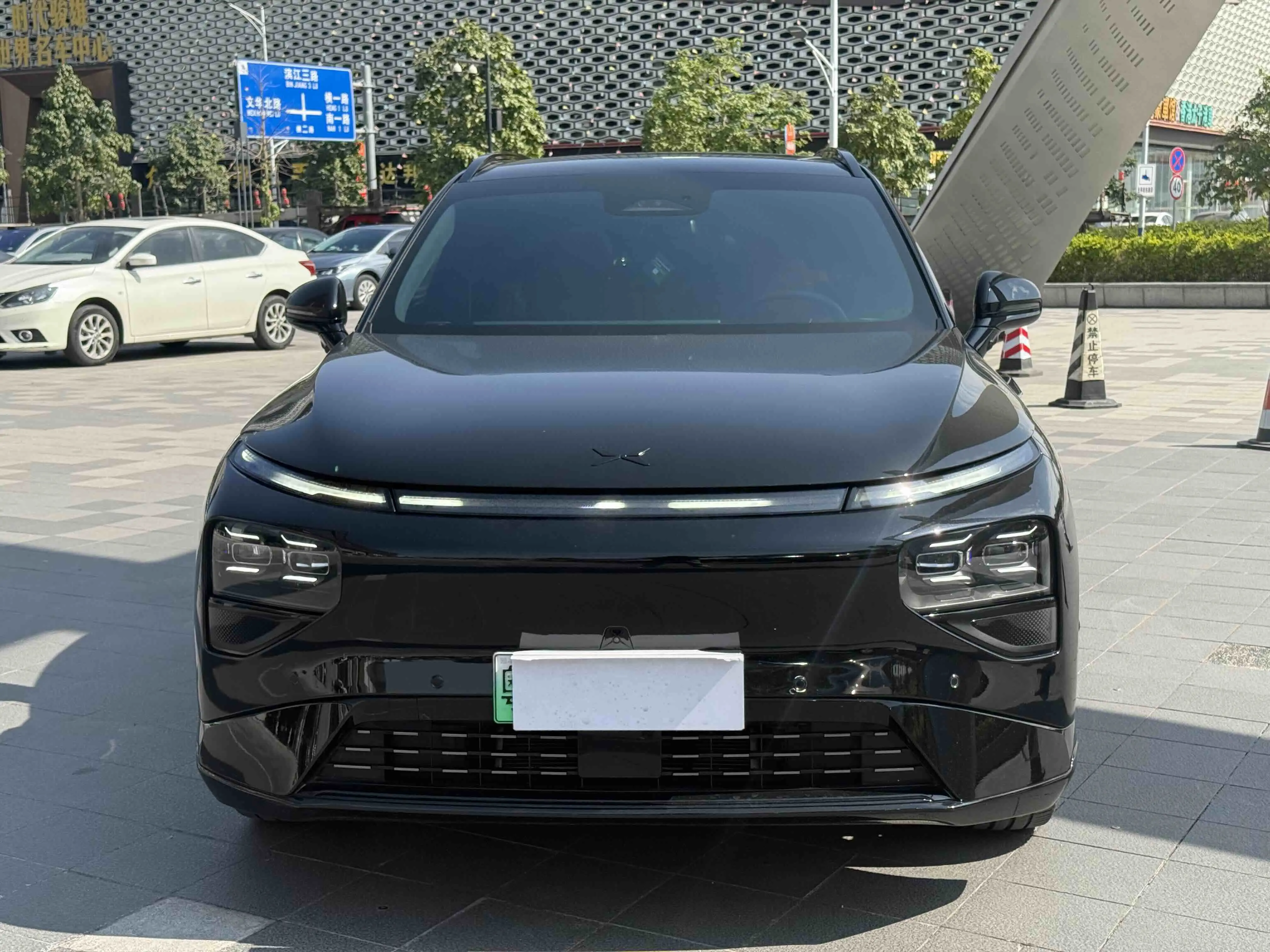 Xpeng G9  из Китая