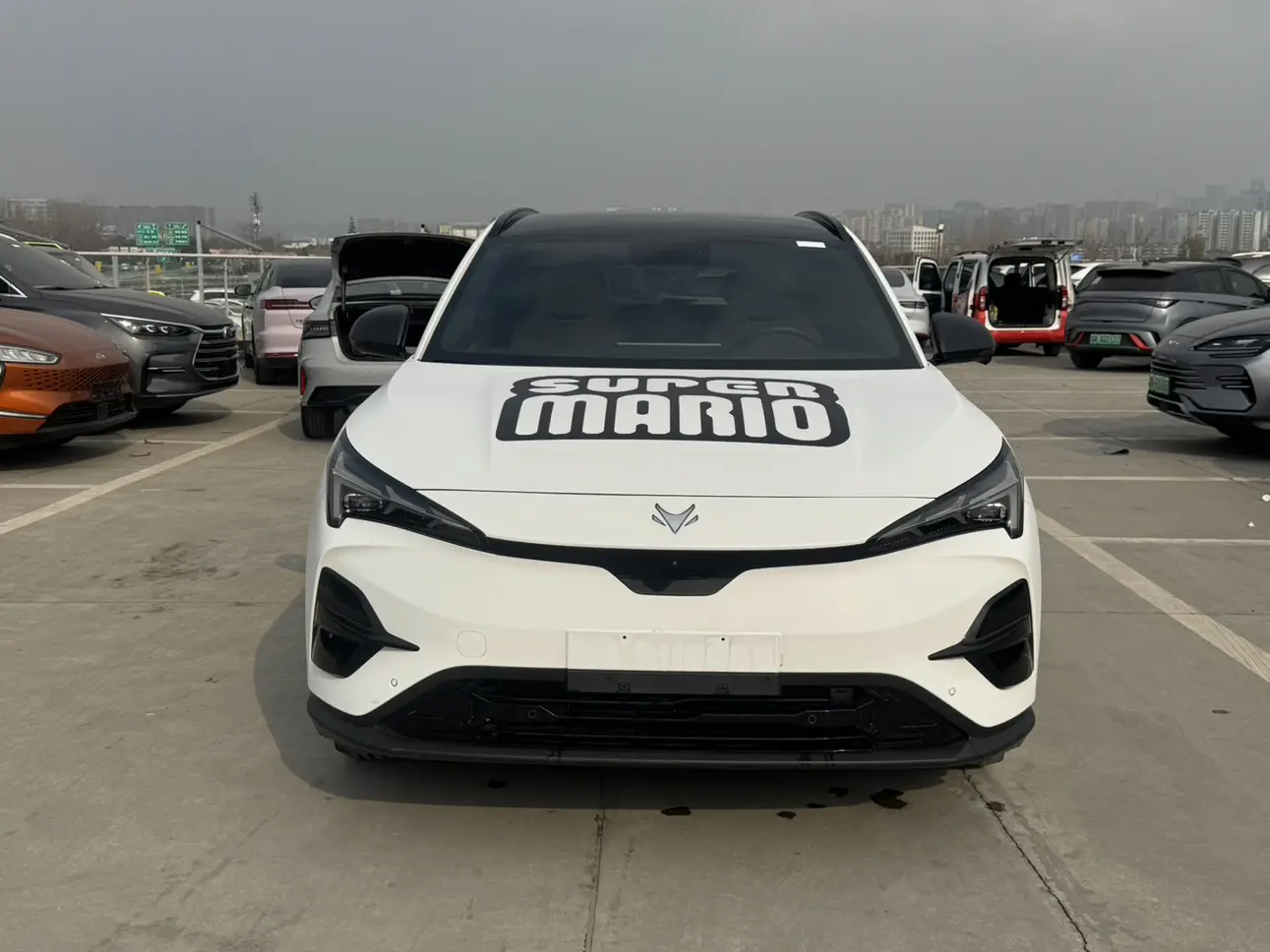 ARCFOX Extreme Fox JiFox Alpha T5  из Китая