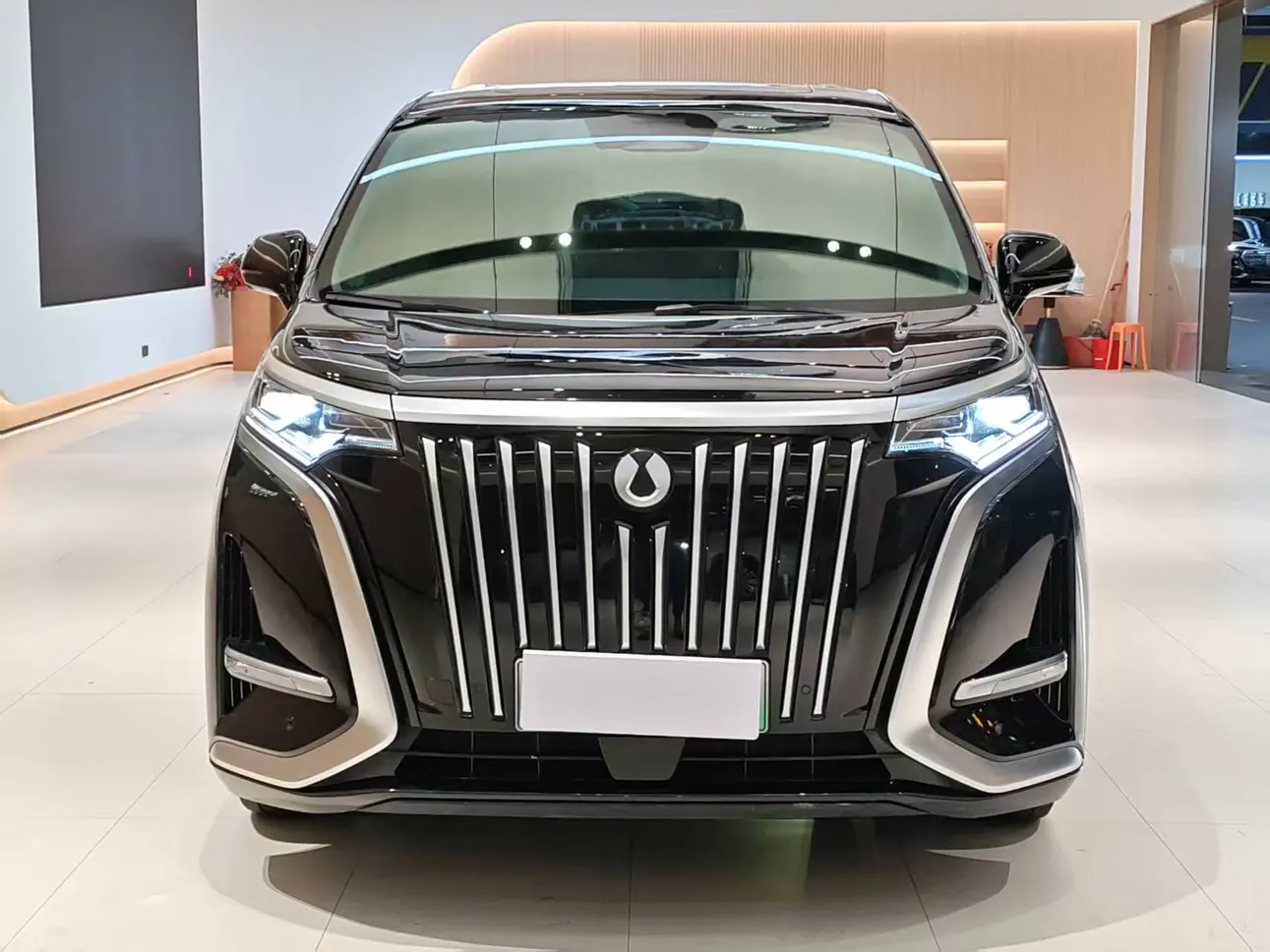 Denza D9 EV  из Китая