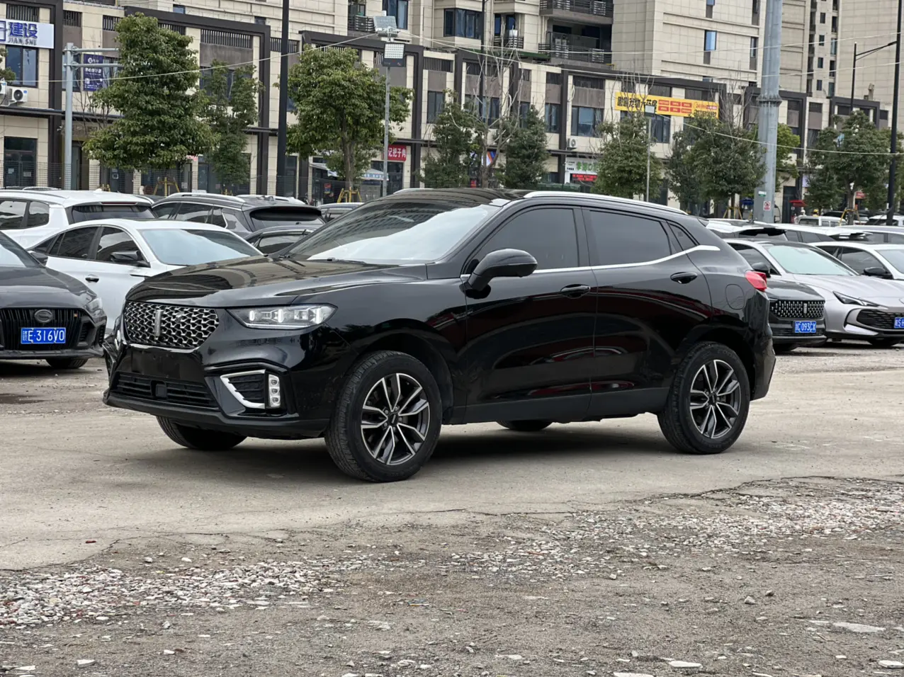 Wey Wei brand VV5  из Китая