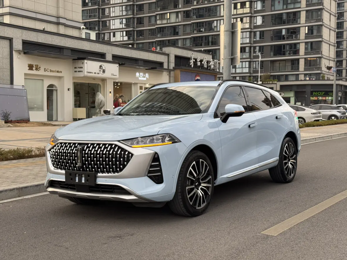 Wey Mocha  из Китая