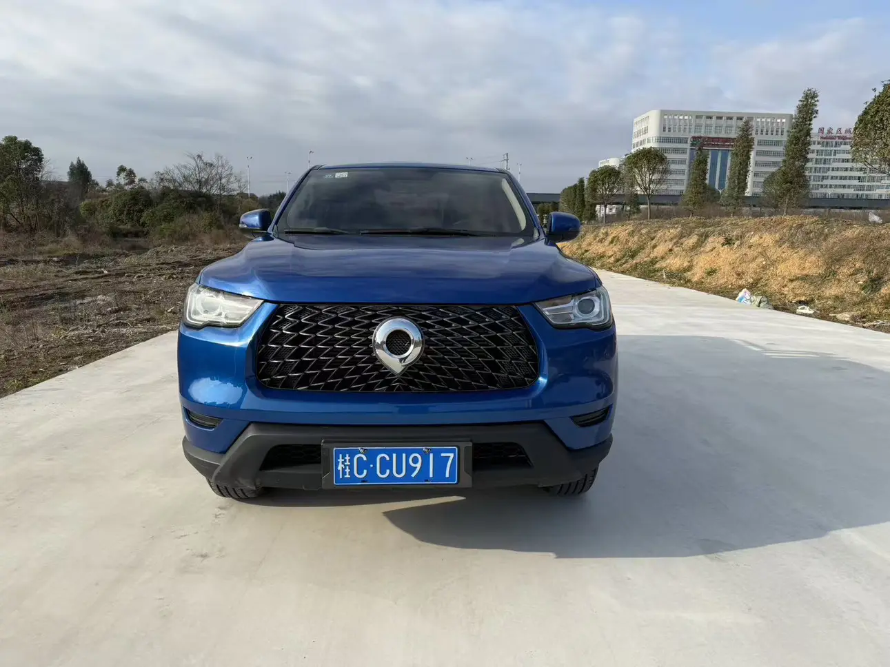 Great Wall Gun  из Китая