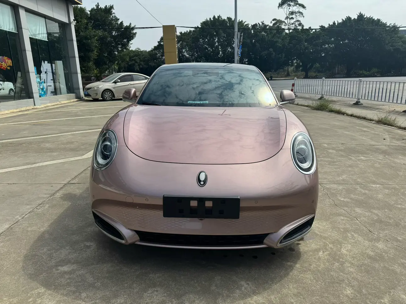 ORA Euler lightning cat  из Китая