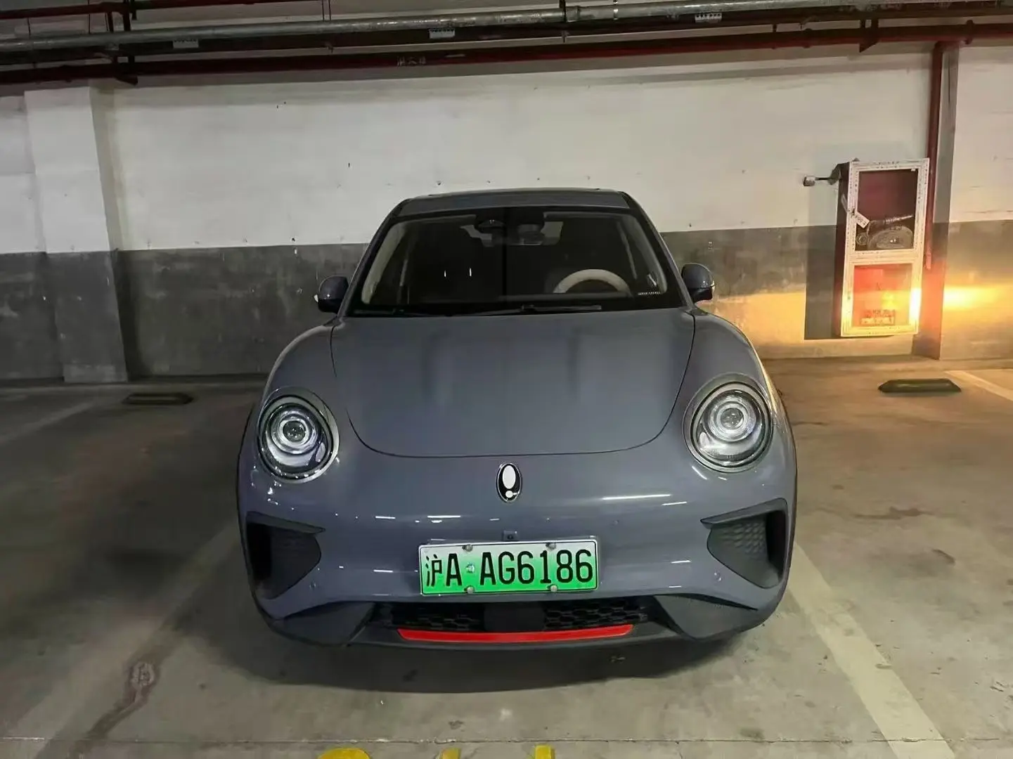 ORA Euler Good Cat GT  из Китая