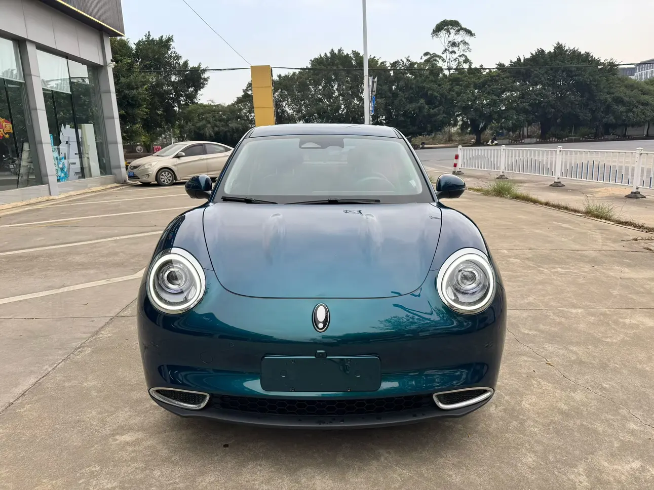 ORA Euler good cat  из Китая