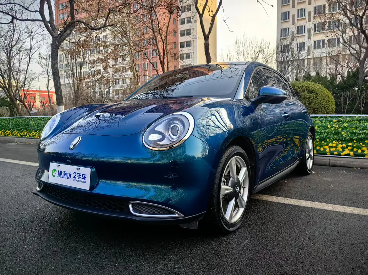 ORA Euler good cat  из Китая