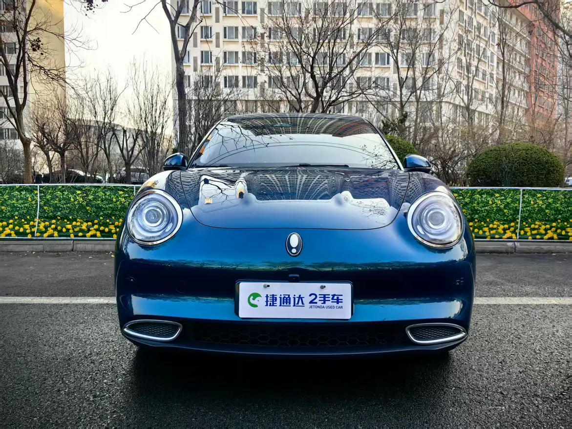 ORA Euler good cat  из Китая