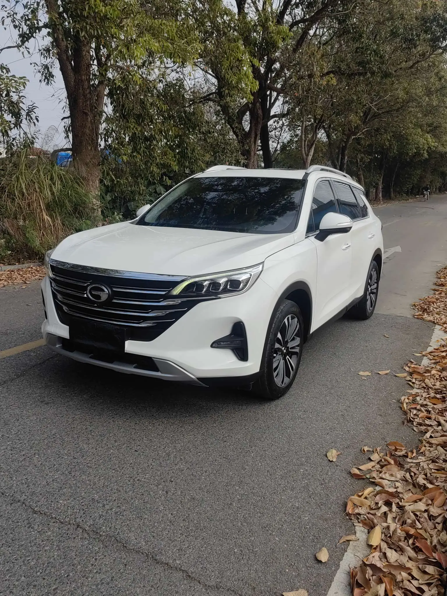 GAC Trumpchi GS5  из Китая