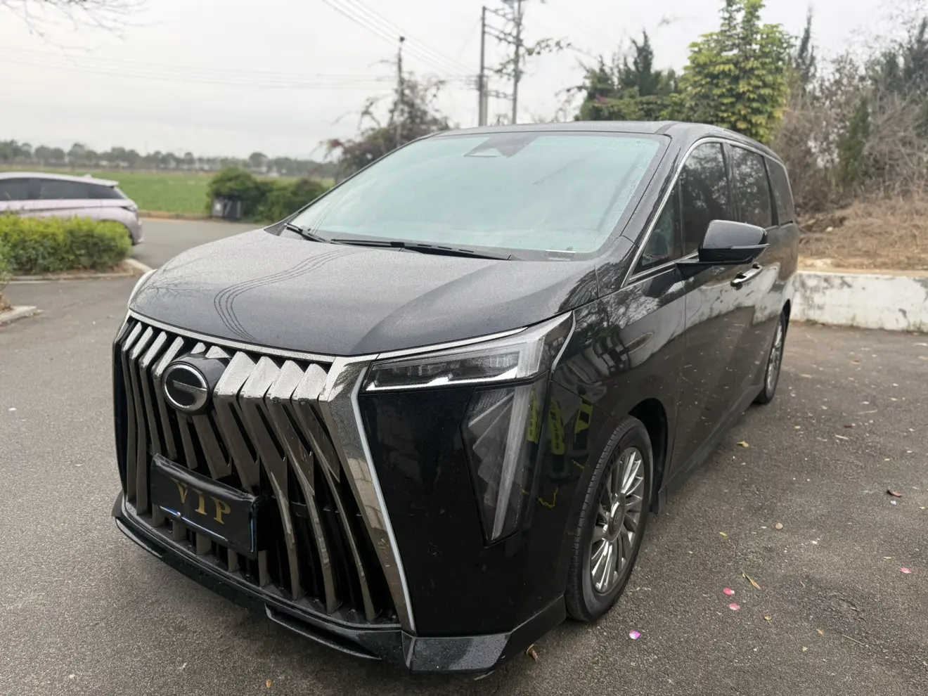 GAC Trumpchi M8  из Китая