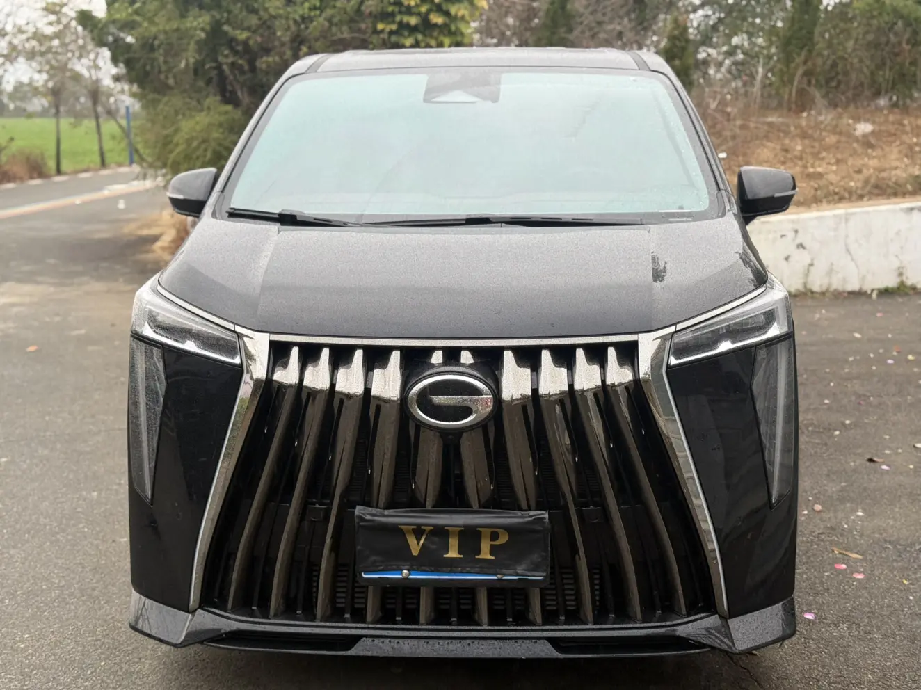 GAC Trumpchi M8  из Китая