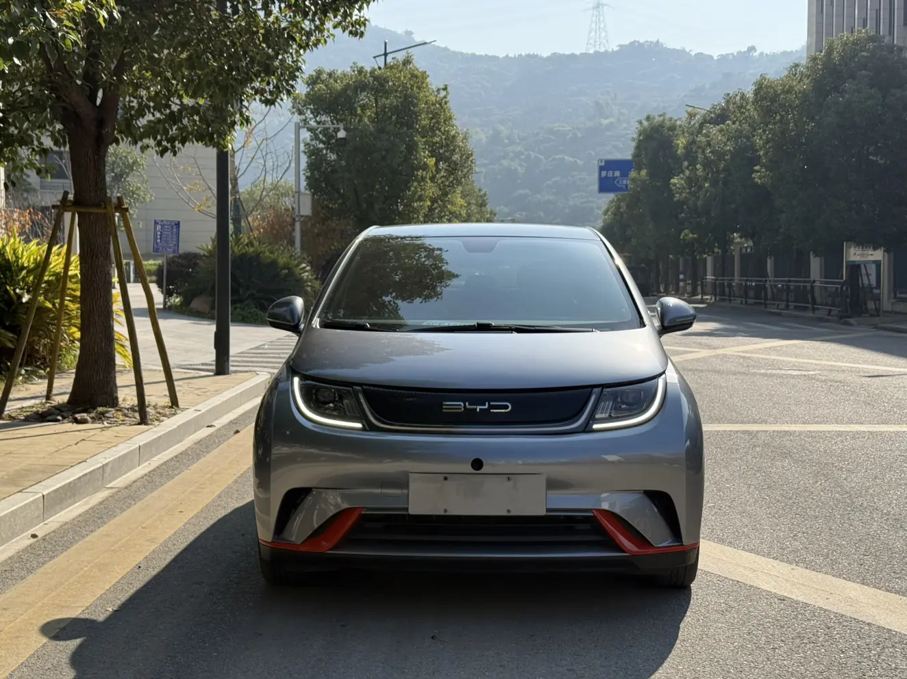 BYD Dolphin  из Китая