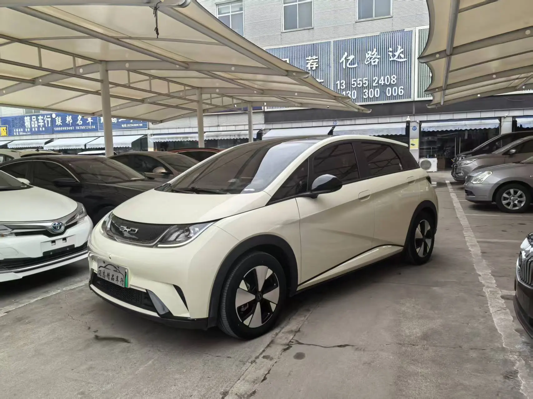 BYD Dolphin  из Китая