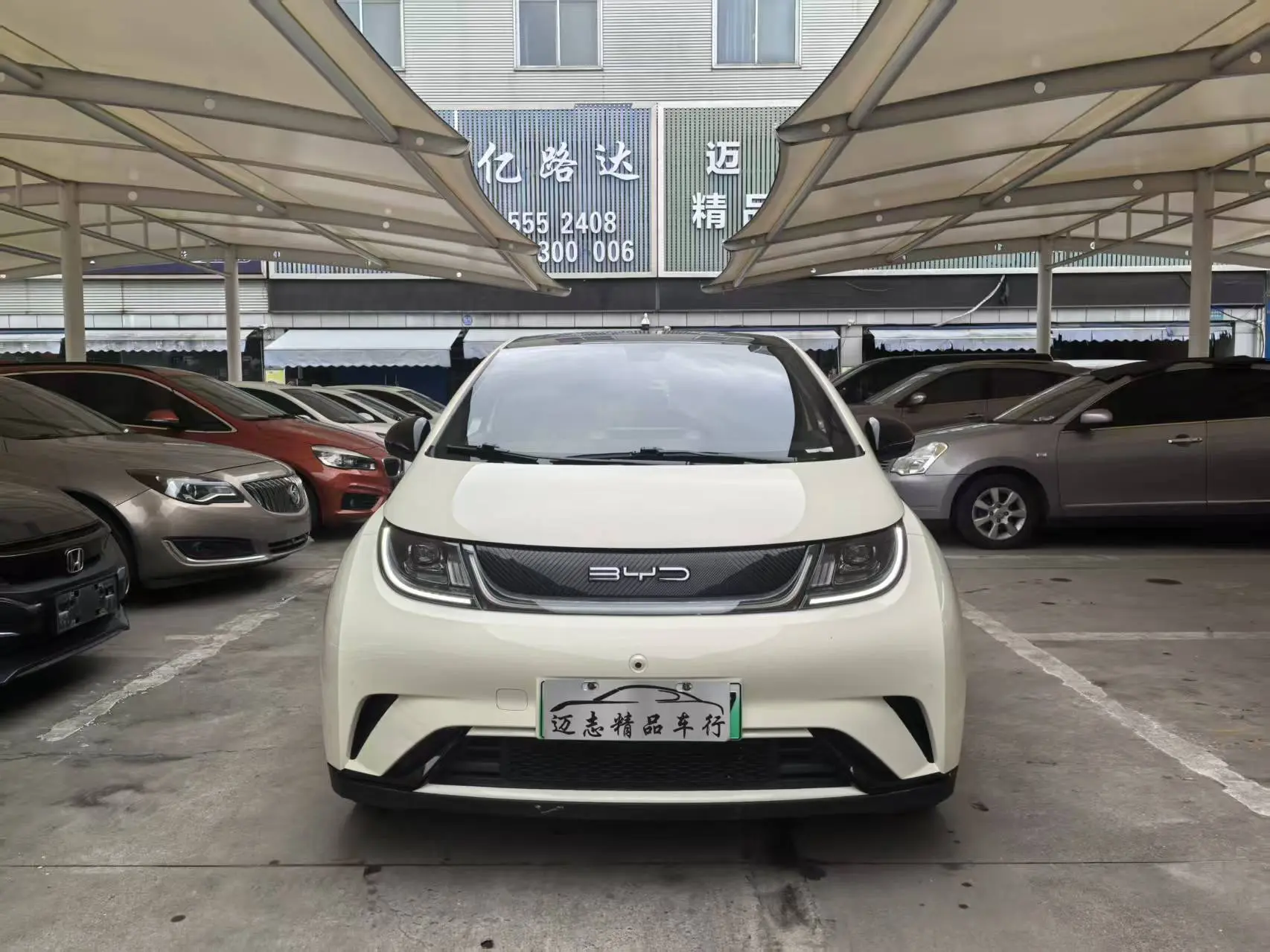 BYD Dolphin  из Китая