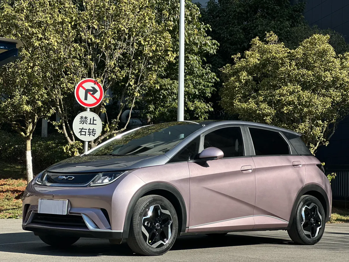 BYD Dolphin  из Китая