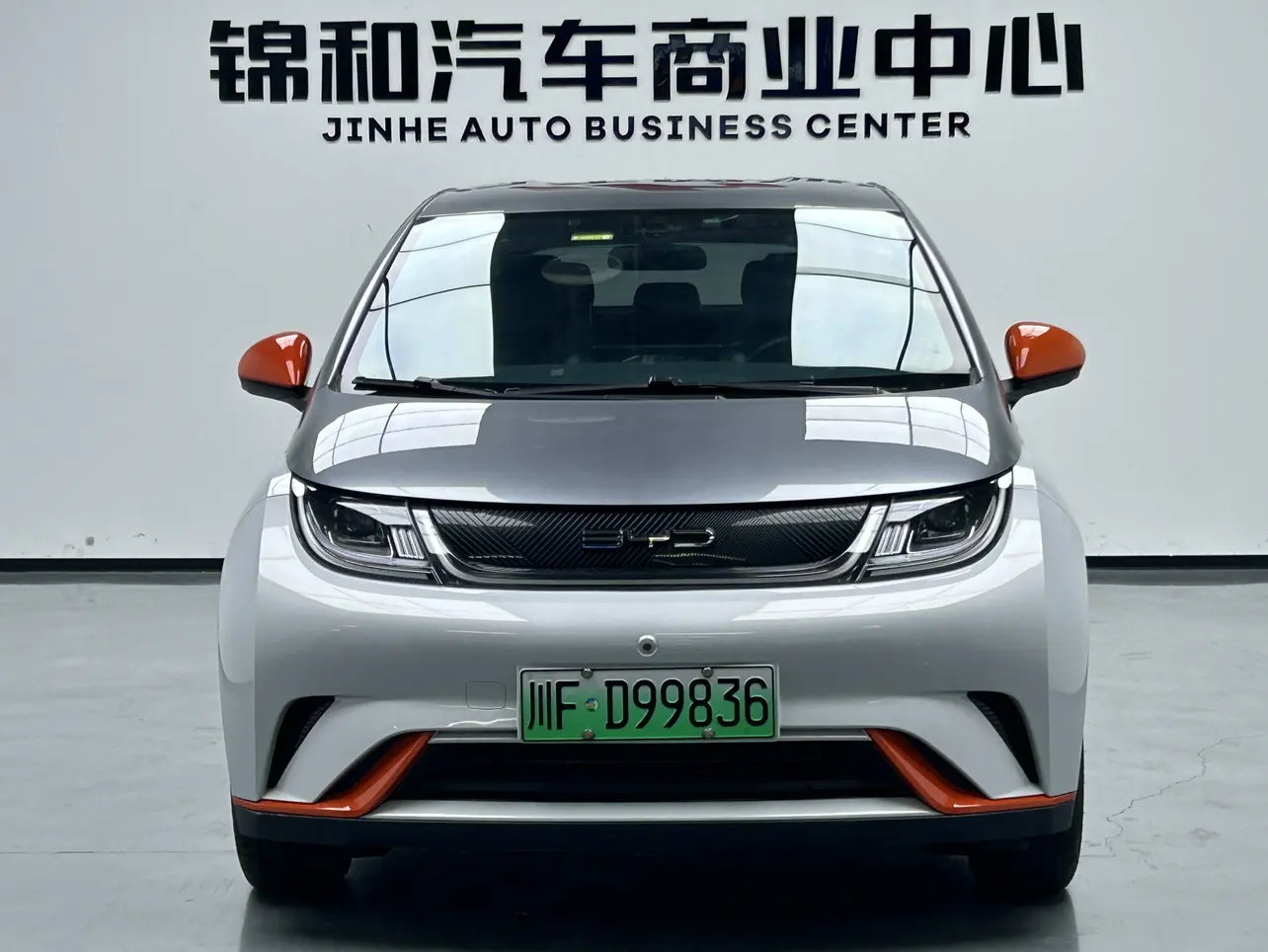 BYD Dolphin  из Китая