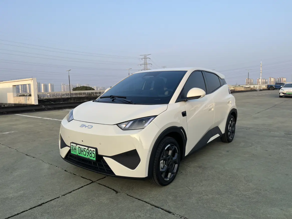 BYD Seagull  из Китая