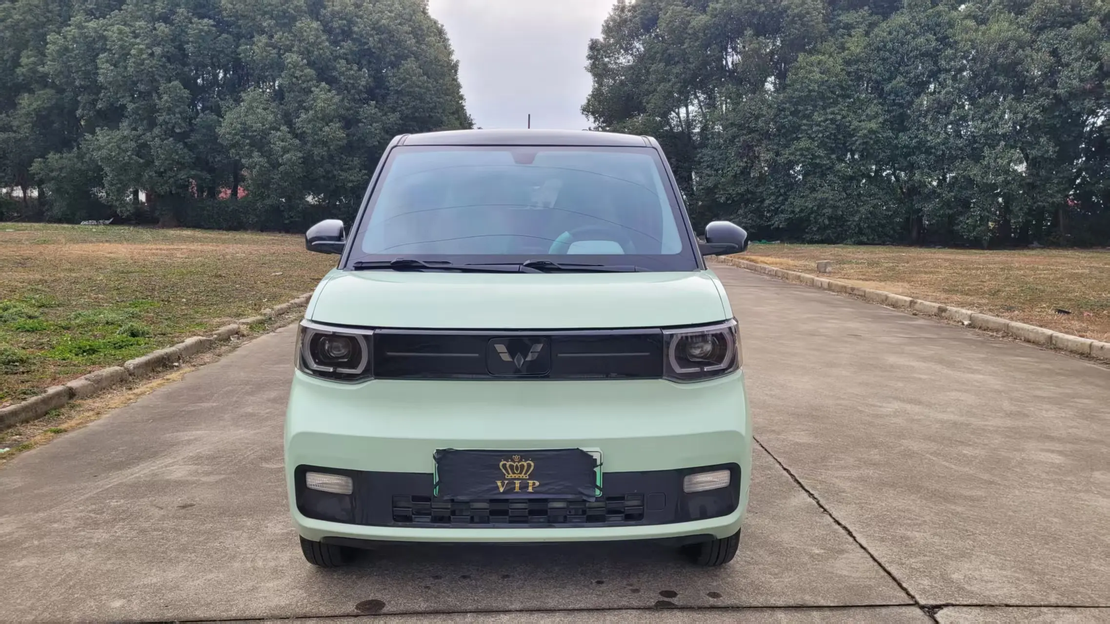 Wuling Hongguang MINIEV  из Китая