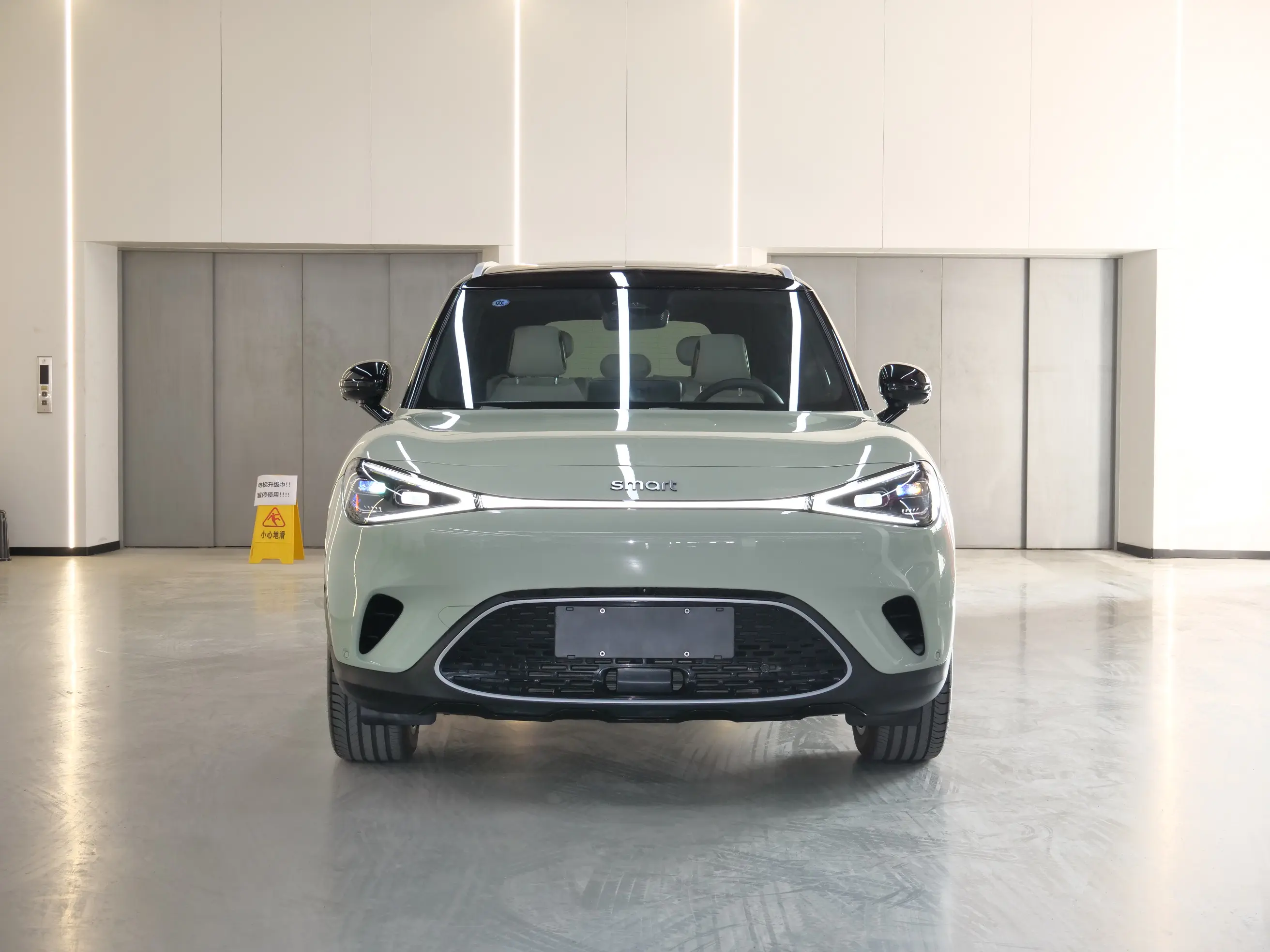 Smart elf #1  из Китая