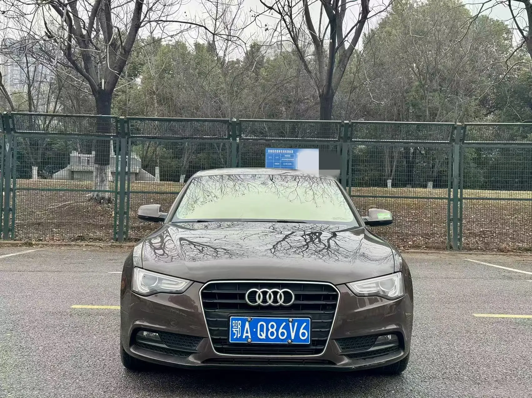 Audi A5  из Китая