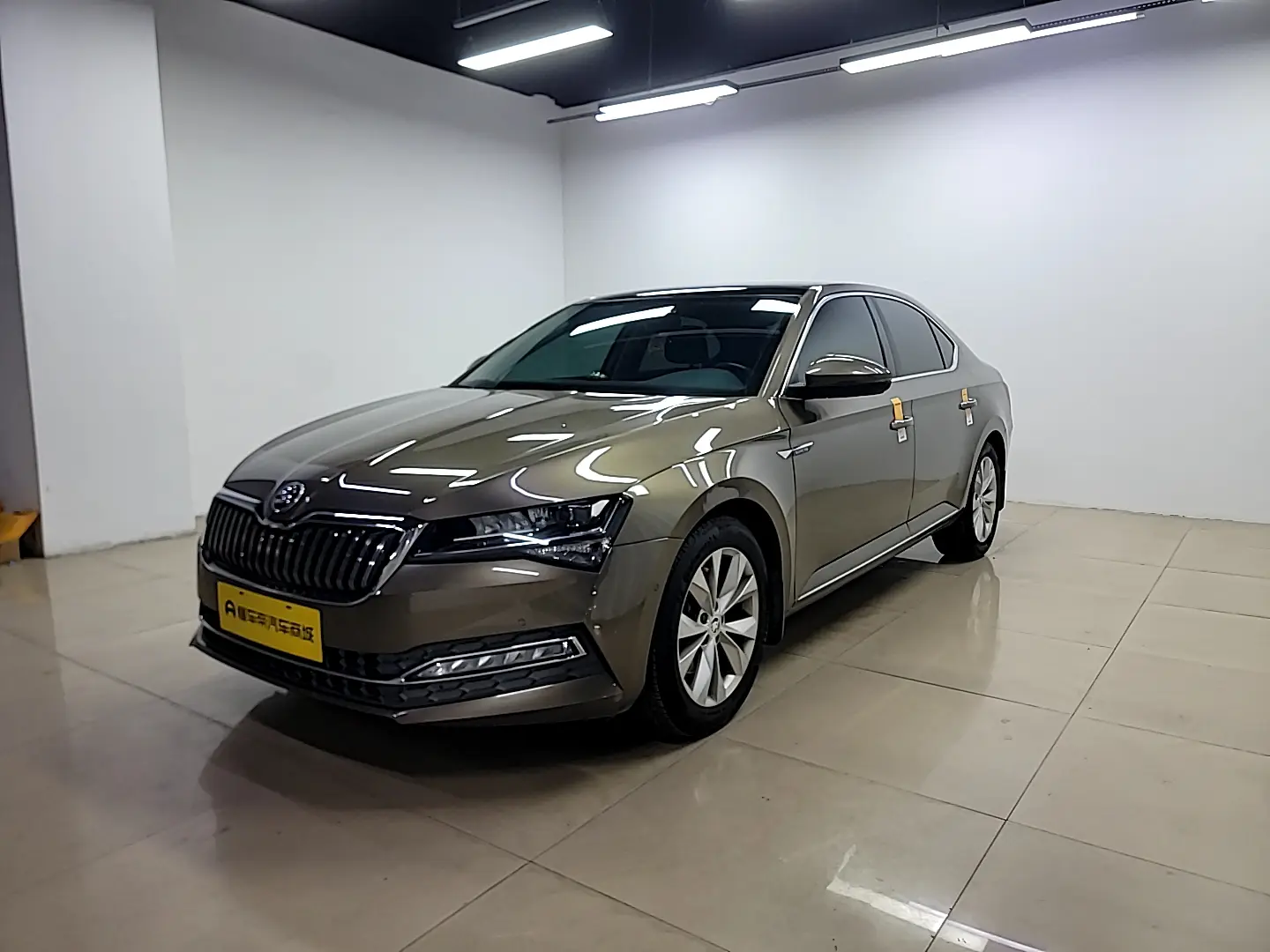 Skoda Speedy  из Китая