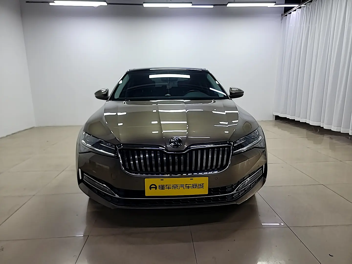 Skoda Speedy  из Китая