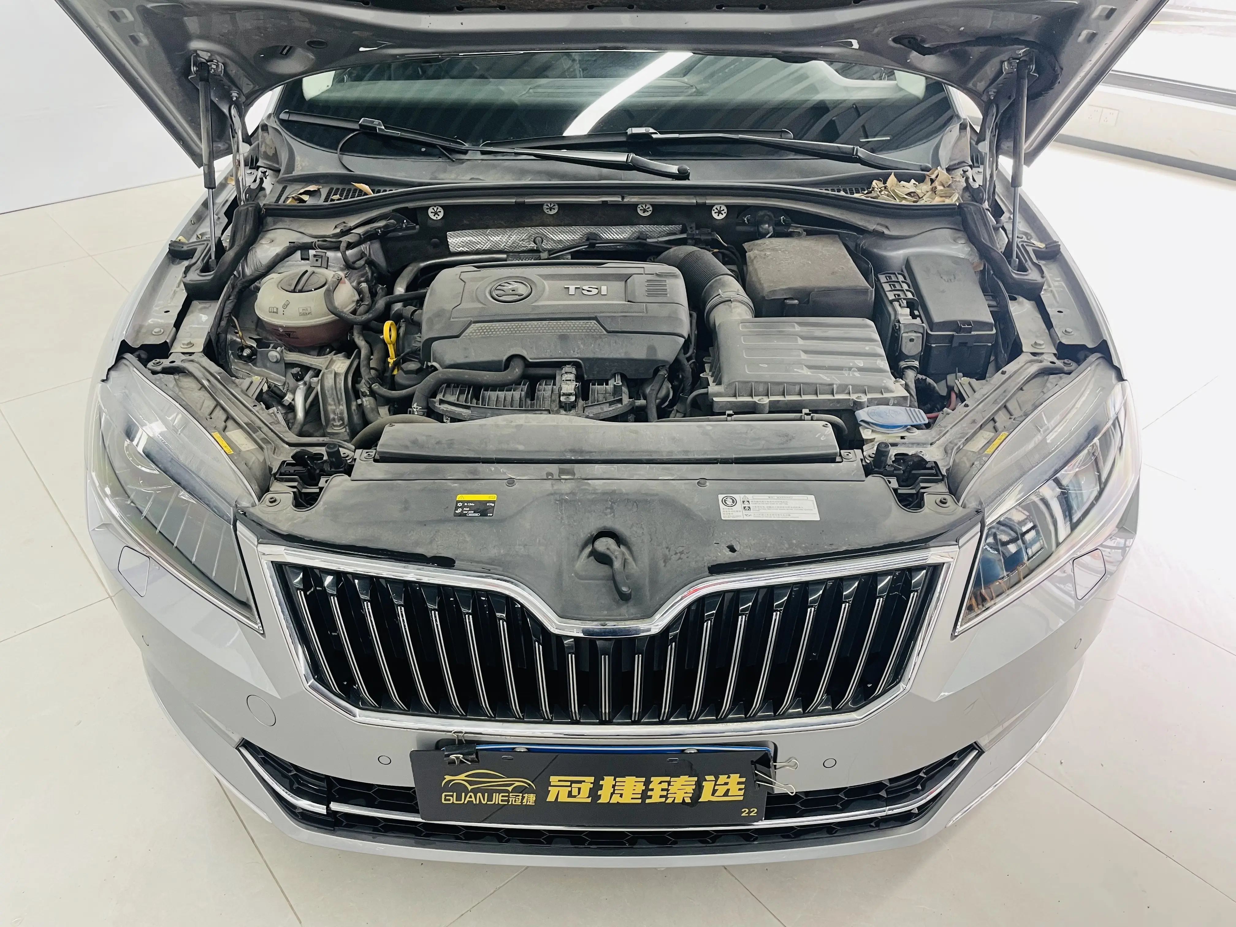 Skoda Speedy  из Китая