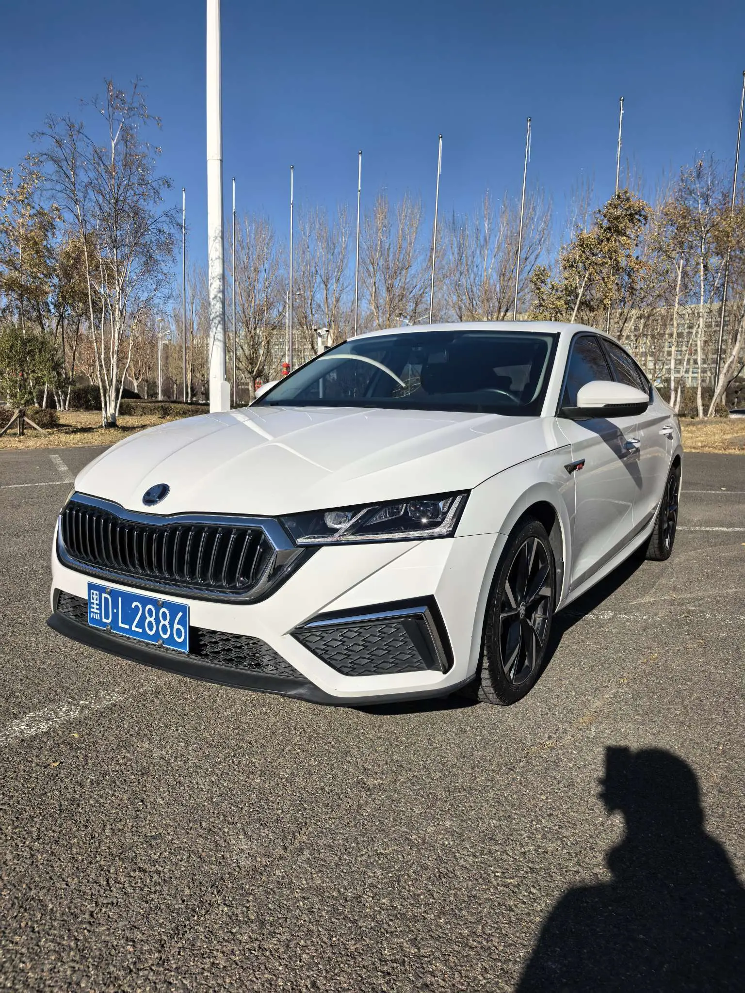 Skoda Octavia  из Китая