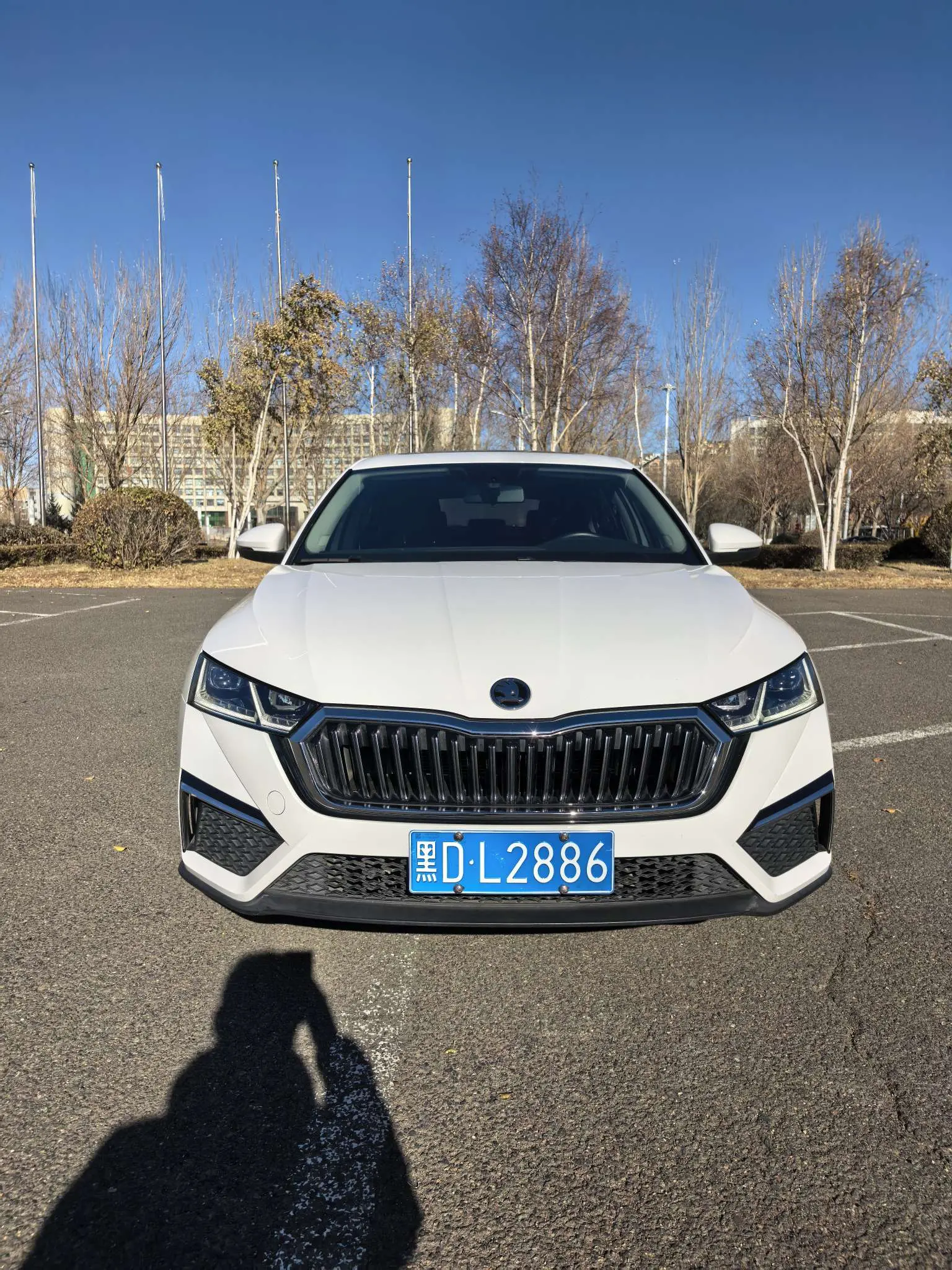 Skoda Octavia  из Китая