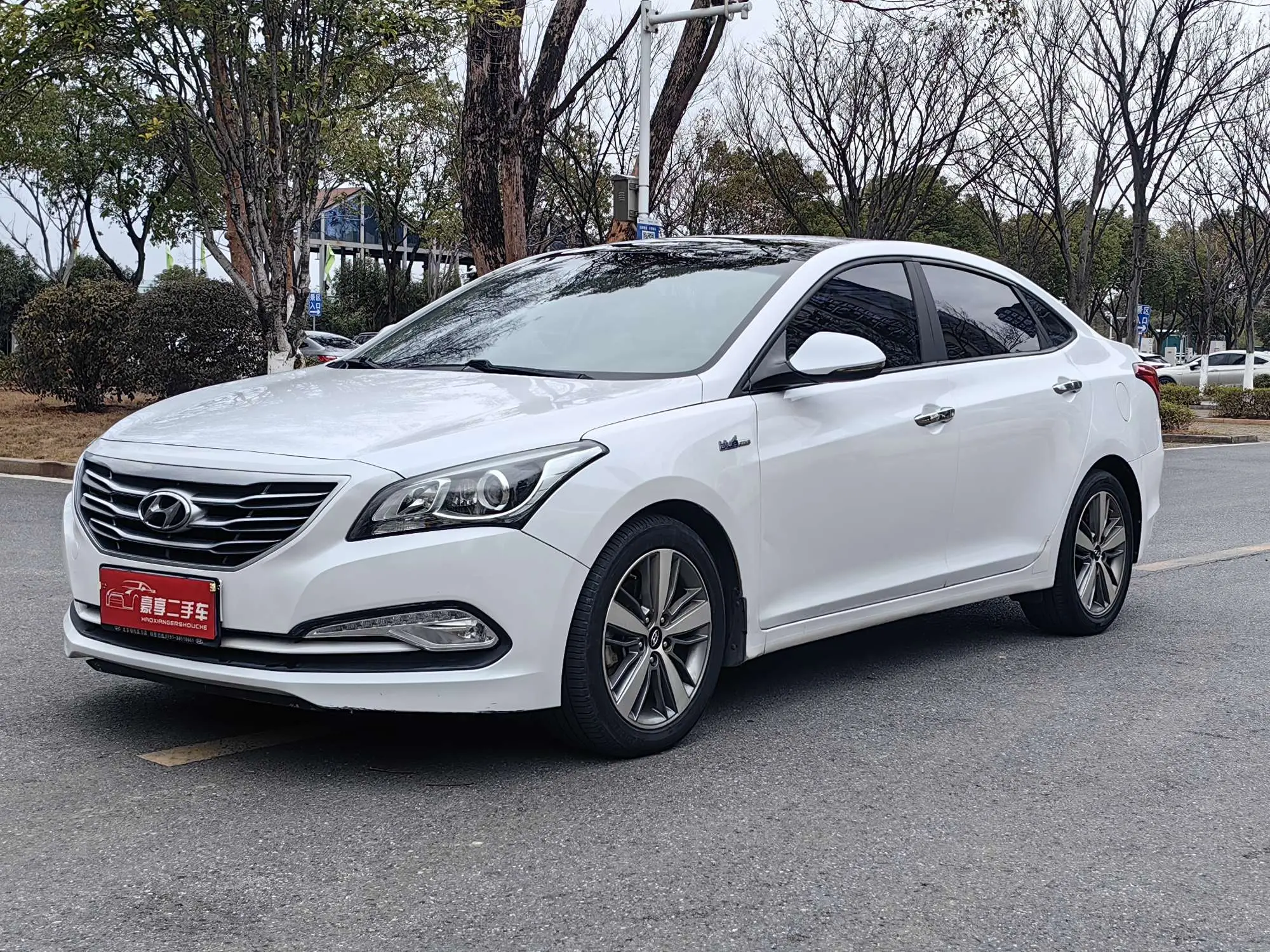 Hyundai Famous pictures  из Китая