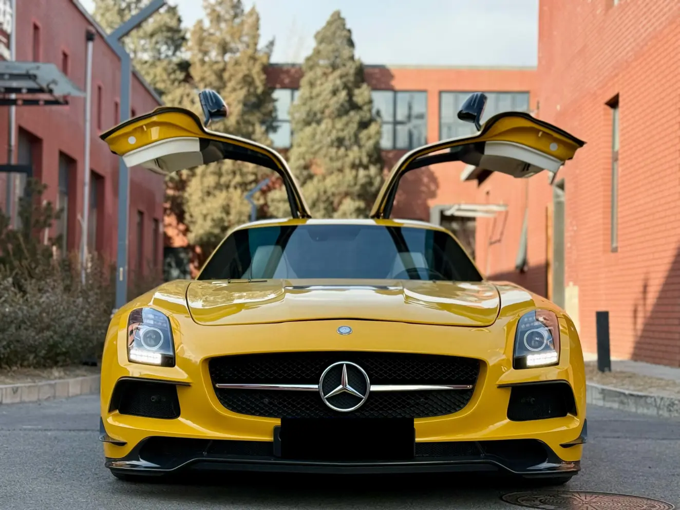 Mercedes-Benz SLS-Class AMG  из Китая