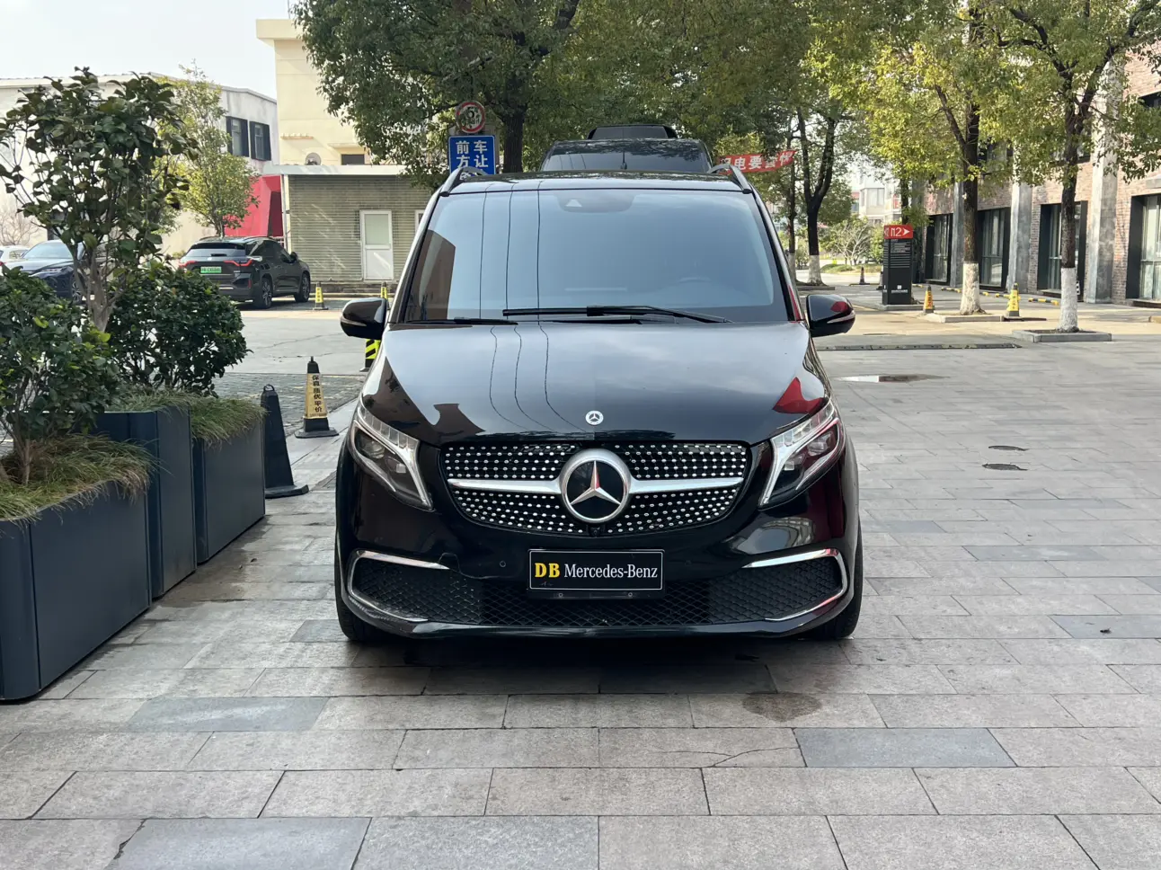 Mercedes-Benz Mercedes Benz V Class  из Китая