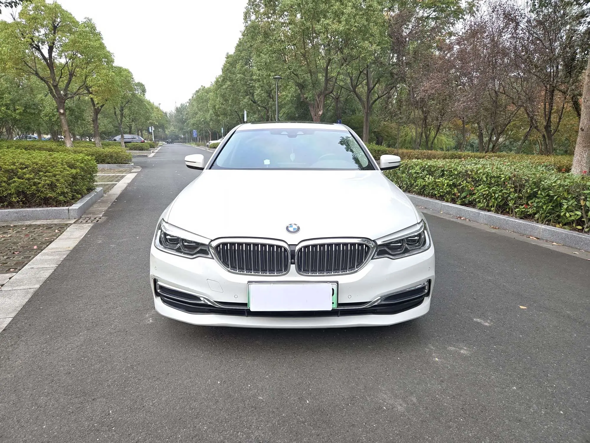 BMW 5 Series PHEV  из Китая