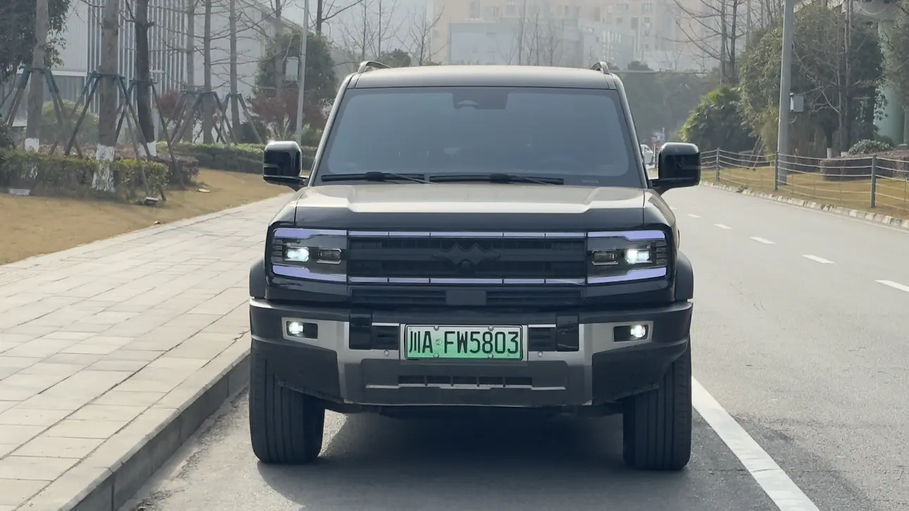 BYD Leopard Leopard 5  из Китая