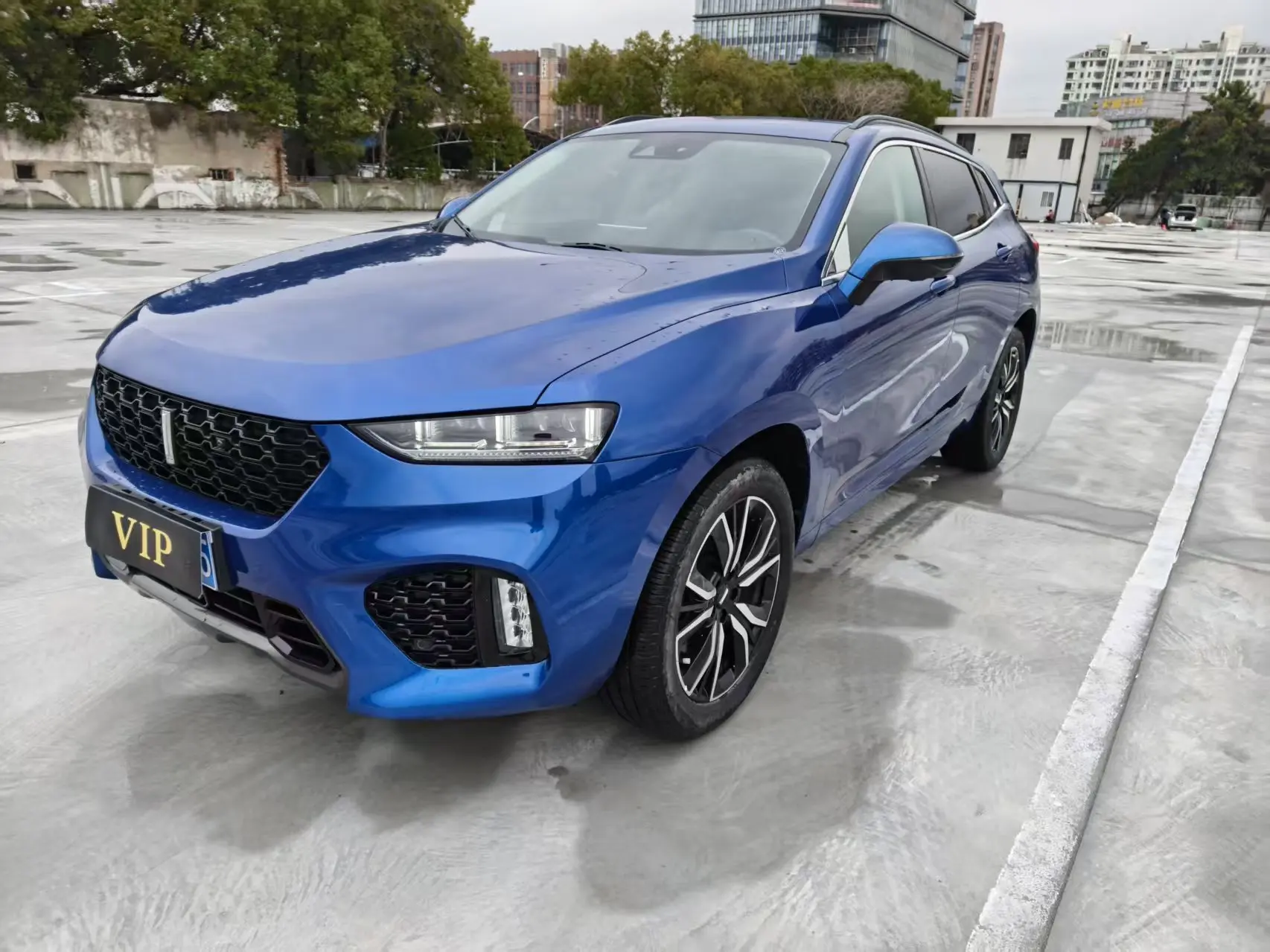 Wey Wei brand VV7  из Китая