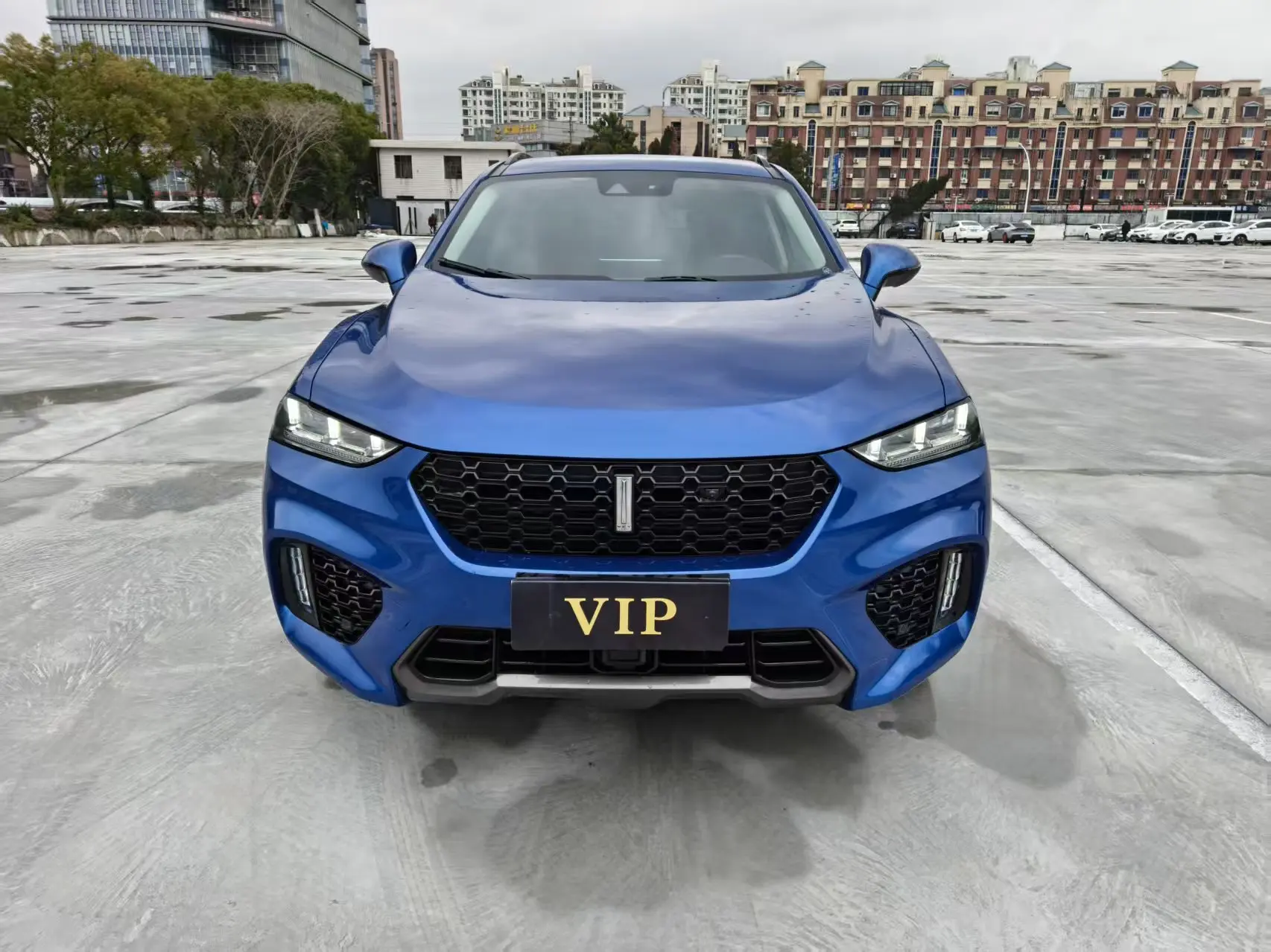 Wey Wei brand VV7  из Китая