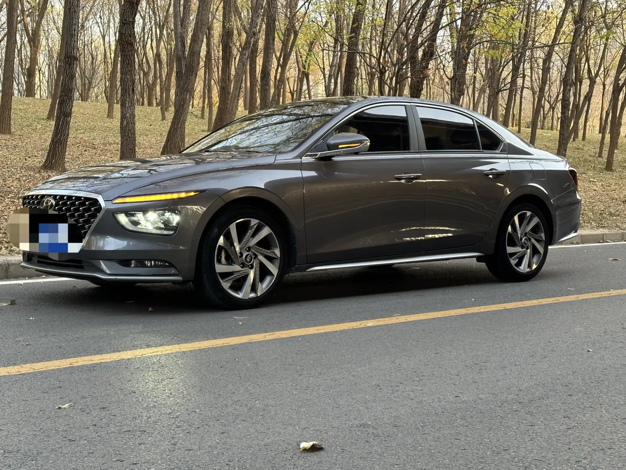 Hyundai Famous pictures  из Китая