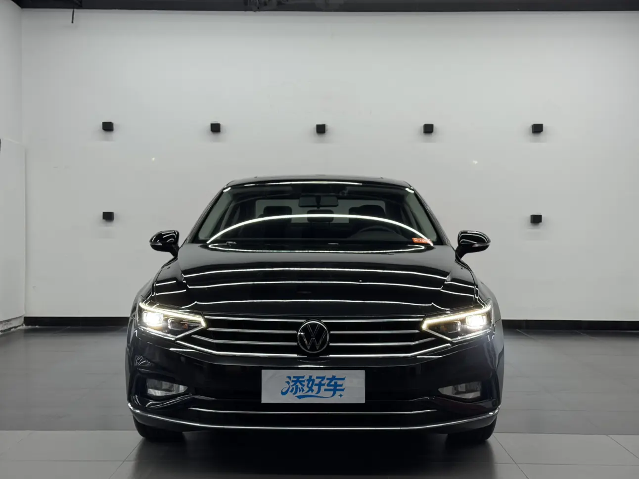 Volkswagen Magotan  из Китая