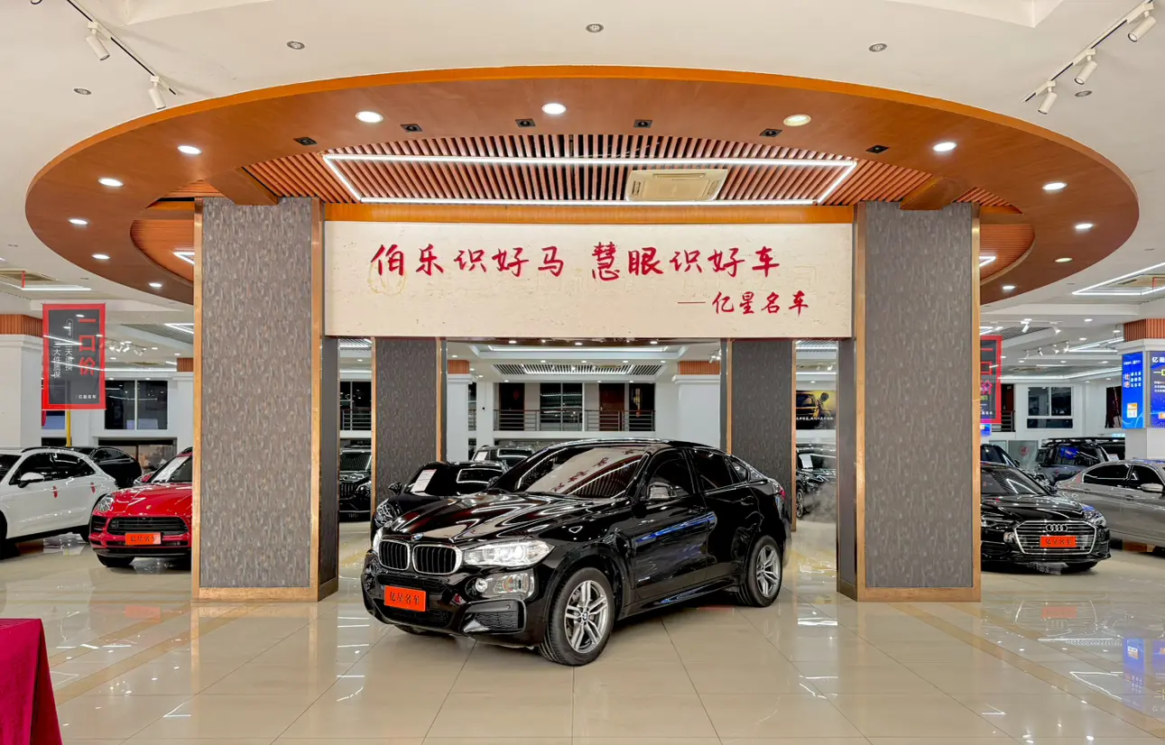 BMW X6