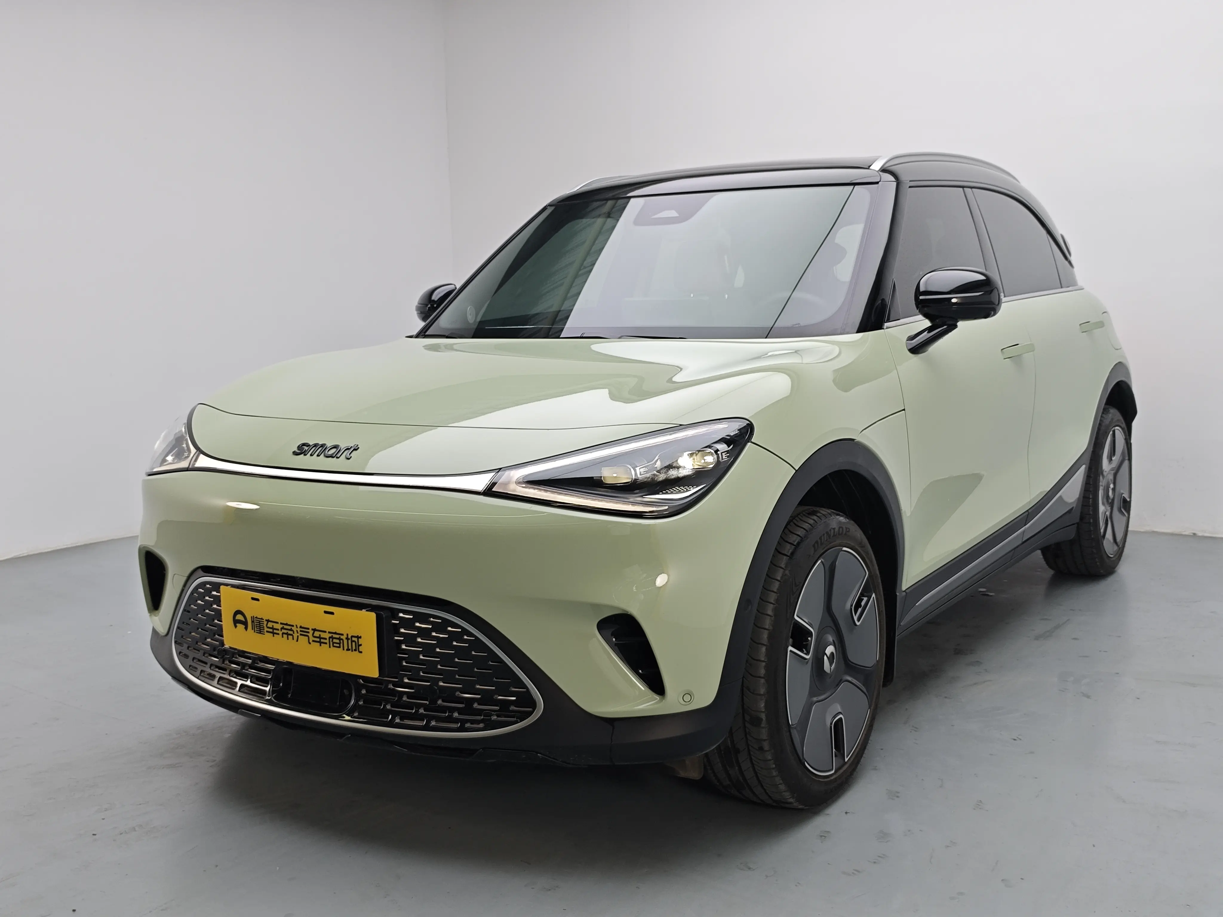 Smart elf #1  из Китая