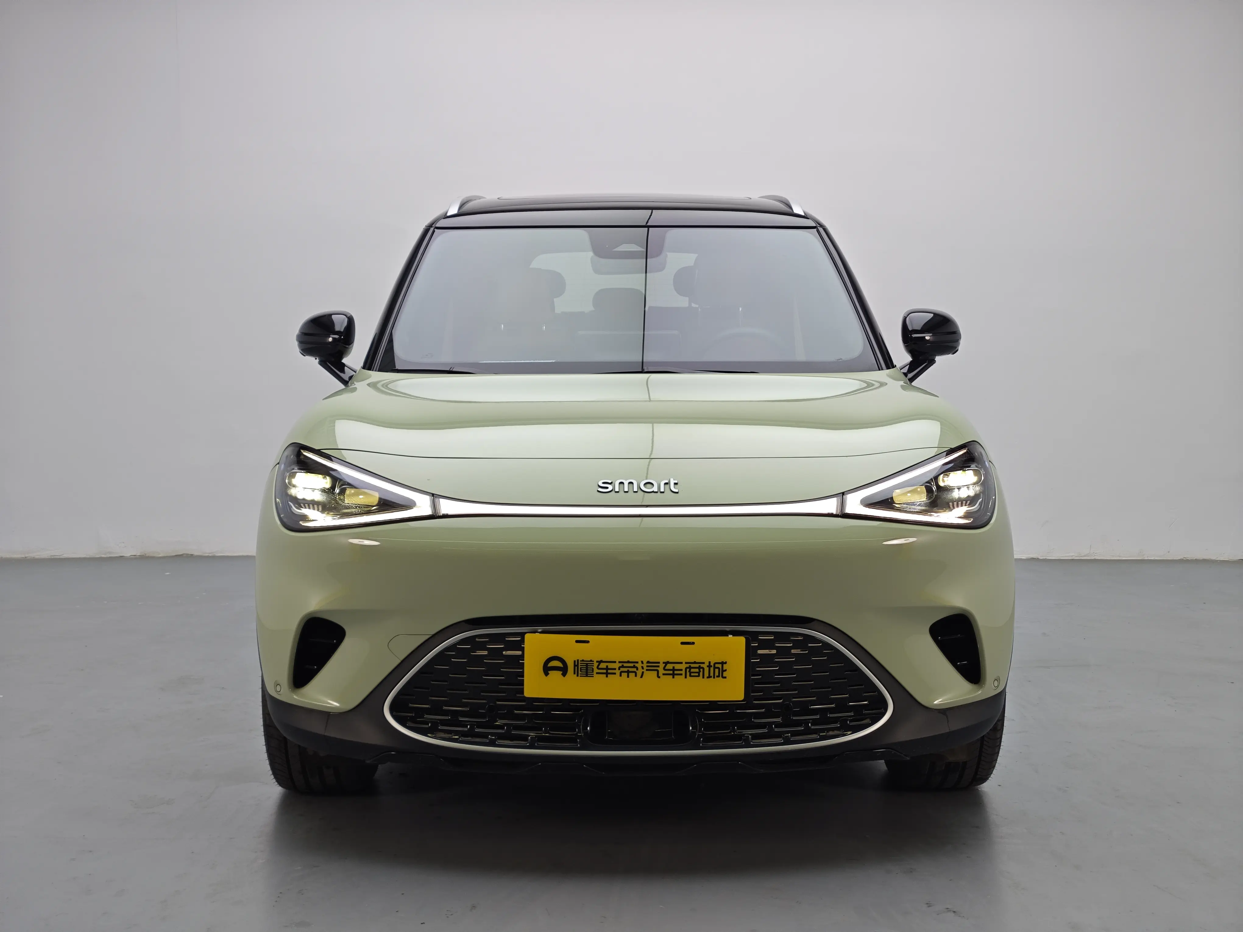 Smart elf #1  из Китая