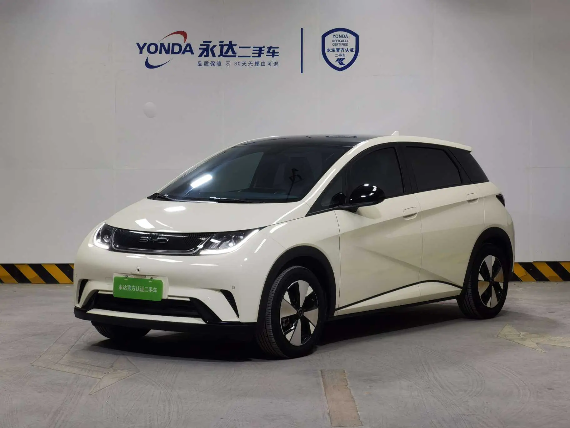 BYD Dolphin  из Китая