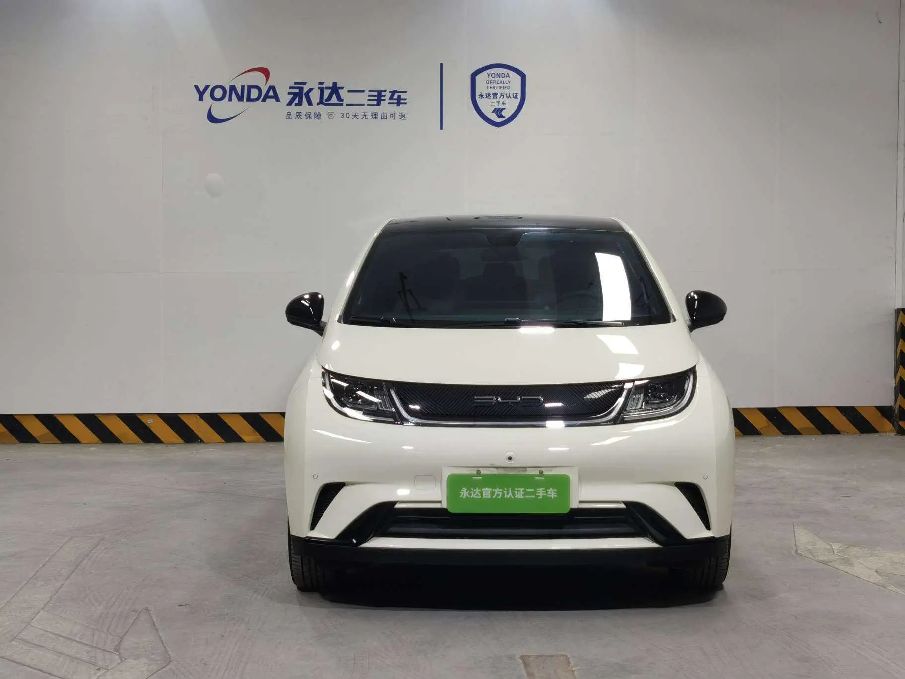 BYD Dolphin  из Китая