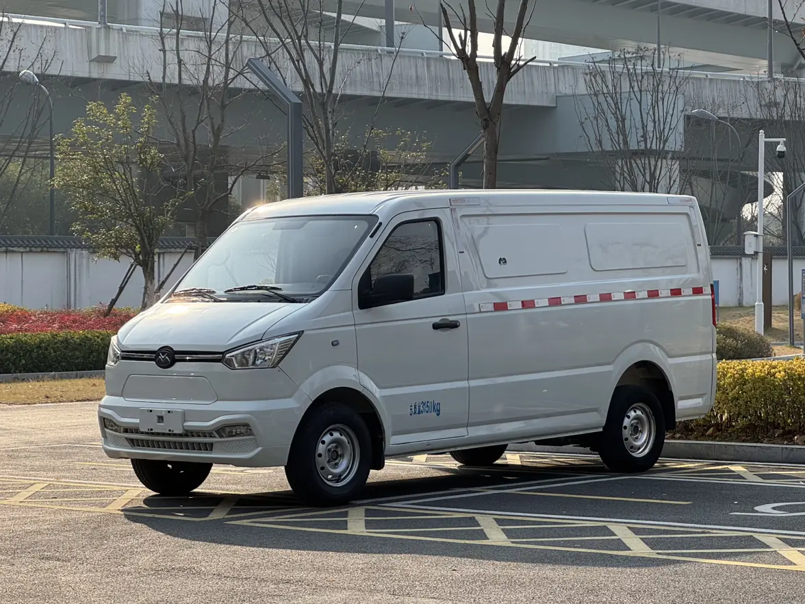 New Geo Gio Shuailing  из Китая