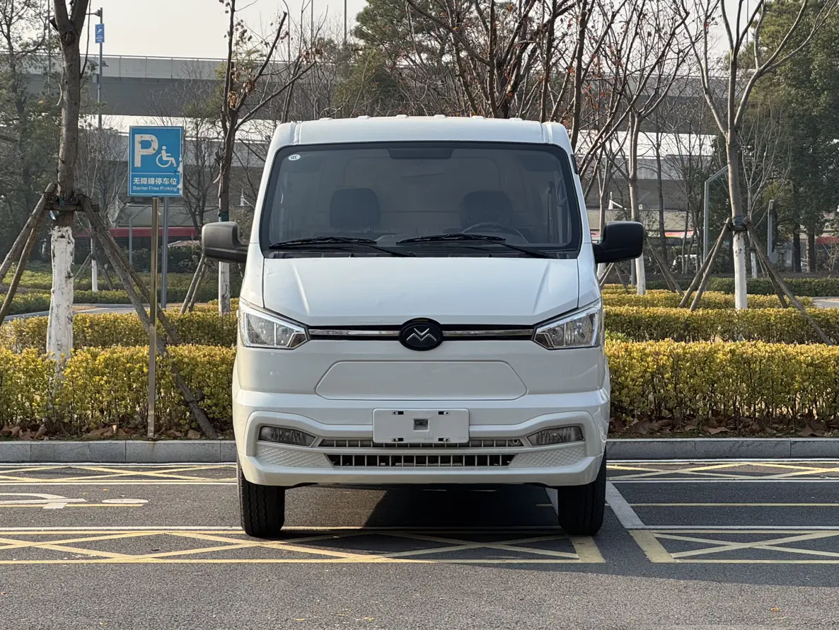 New Geo Gio Shuailing  из Китая